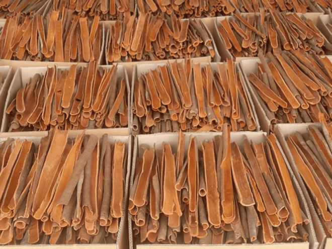 Vers un développement durable des filières de la cannelle et de l’anis étoilé ảnh 2