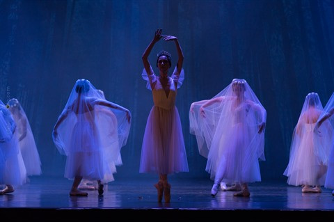 Dang Thai Son en concert avec l'orchestre du HBSO ảnh 1