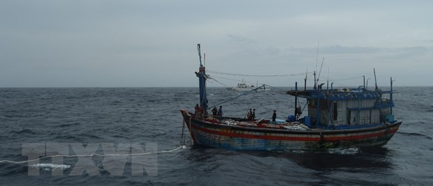 Trois pêcheurs de Binh Dinh à la dérive en mer sauvés ảnh 1 Trois pêcheurs de Binh Dinh à la dérive en mer sauvés ảnh 1