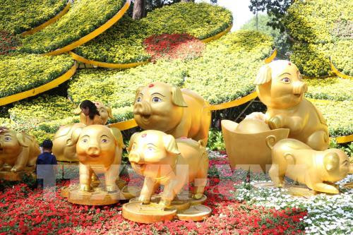 Ouverture d’une fête des fleurs à Ho Chi Minh-Ville ảnh 1 Ouverture d’une fête des fleurs à Ho Chi Minh-Ville ảnh 1