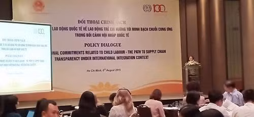 Dialogue sur le travail des enfants à Ho Chi Minh-Ville ảnh 1 Dialogue sur le travail des enfants à Ho Chi Minh-Ville ảnh 1