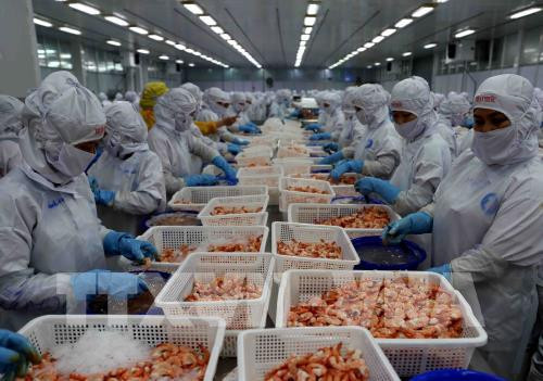 Exportations de crevettes : 4,2 milliards de dollars visés cette année ảnh 1 Exportations de crevettes : 4,2 milliards de dollars visés cette année ảnh 1