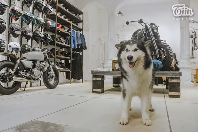 Sixty Square - Un petit Hanoi dans Hanoi! ảnh 5