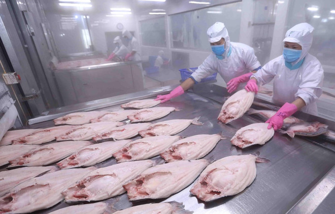 Le libre-échange avec l’UE va apporter une double opportunité économique au Vietnam ảnh 1 Le libre-échange avec l’UE va apporter une double opportunité économique au Vietnam ảnh 1