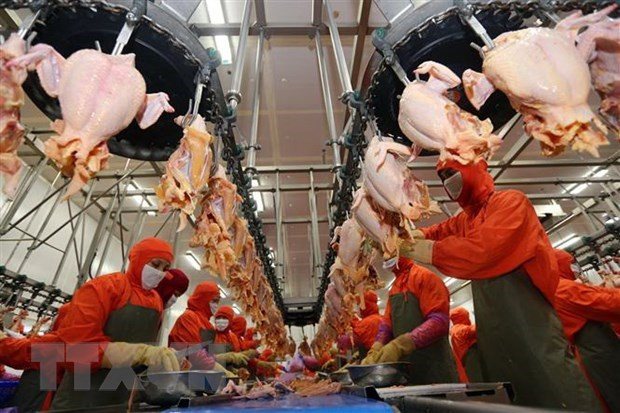 Le marché vietnamien de l’alimentation et des boissons retient l’attention des entreprises étrangère ảnh 2 Le marché vietnamien de l’alimentation et des boissons retient l’attention des entreprises étrangère ảnh 2