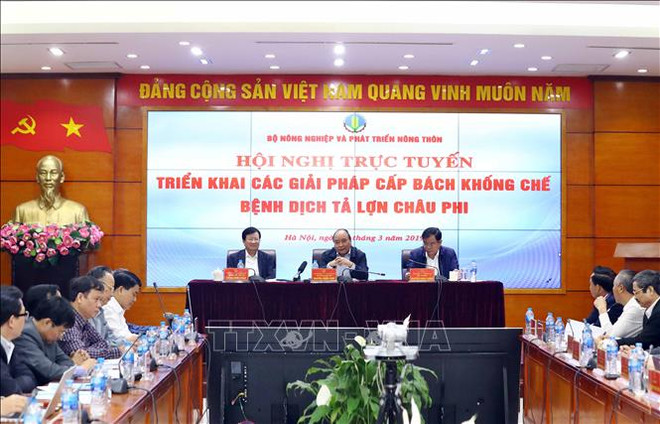 Renforcement des mesures face à la peste porcine africaine ảnh 1 Renforcement des mesures face à la peste porcine africaine ảnh 1