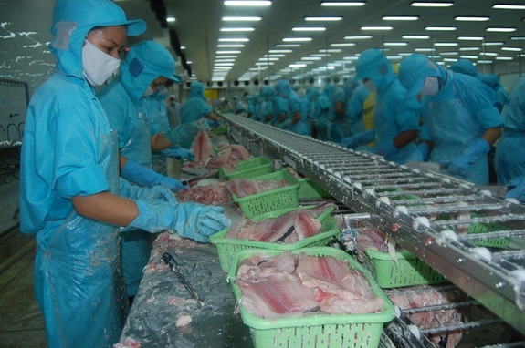 Aquaculture : de nouvelles perspectives pour les exportations en 2019 ảnh 1 Aquaculture : de nouvelles perspectives pour les exportations en 2019 ảnh 1