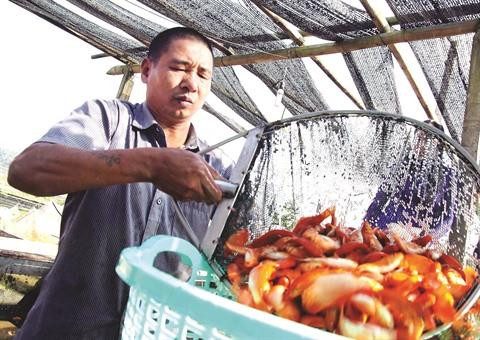 Marques protégées pour produits renommés ảnh 1