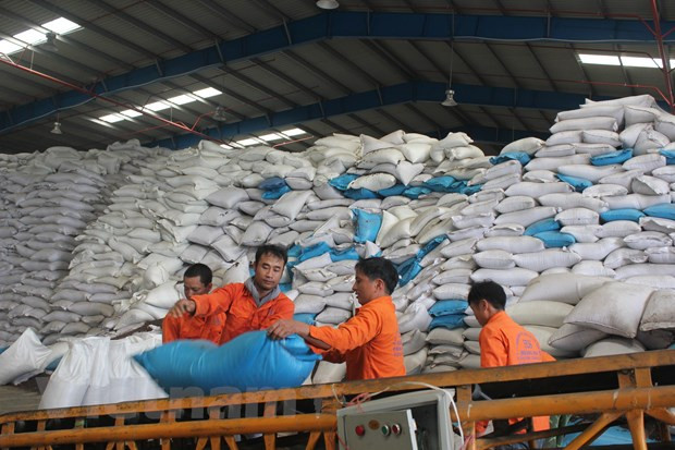 De belles perspectives pour les exportations d’ici la fin de l’année ảnh 1 De belles perspectives pour les exportations d’ici la fin de l’année ảnh 1