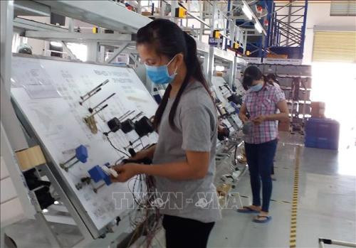 La R. de Corée est le plus grand investisseur étranger à Ba Ria-Vung Tau ảnh 1 La R. de Corée est le plus grand investisseur étranger à Ba Ria-Vung Tau ảnh 1
