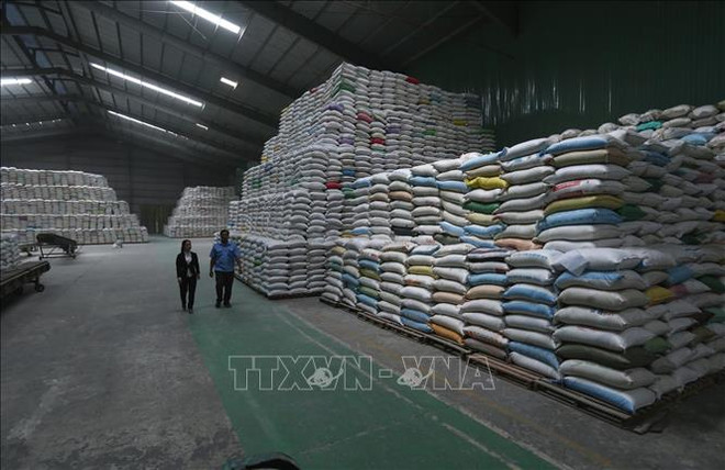 Le secteur agricole progresse de 2,68% au premier trimestre ảnh 1 Le secteur agricole progresse de 2,68% au premier trimestre ảnh 1