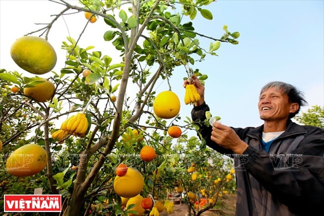 À la (re)découverte des spécialités du Têt au Vietnam ảnh 2 À la (re)découverte des spécialités du Têt au Vietnam ảnh 2