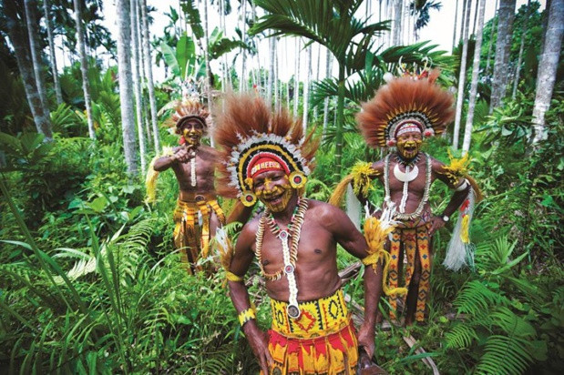 La Papouasie-Nouvelle-Guinée va délivrer des visas en ligne à toutes les économies membres de l’APEC ảnh 1 La Papouasie-Nouvelle-Guinée va délivrer des visas en ligne à toutes les économies membres de l’APEC ảnh 1