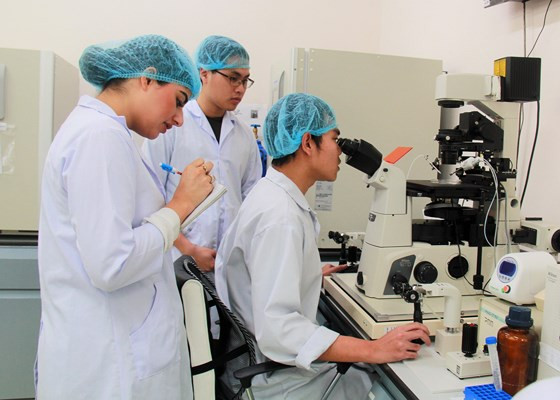 Deux universités vietnamiennes parmi les 1.000 meilleures du monde ảnh 1 Deux universités vietnamiennes parmi les 1.000 meilleures du monde ảnh 1