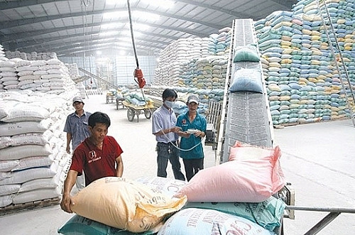 De nouvelles solutions pour stimuler les exportations de riz face aux défis du marché ảnh 1 De nouvelles solutions pour stimuler les exportations de riz face aux défis du marché ảnh 1