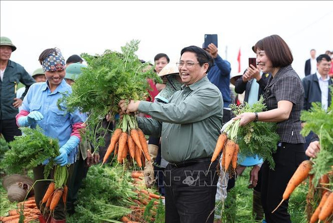 Le PM Pham Minh Chinh exhorte à développer une agriculture verte et moderne ảnh 2