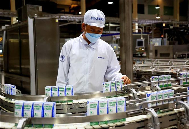 Hô Chi Minh-Ville se concentre sur l'attraction des investissements verts ảnh 1 Hô Chi Minh-Ville se concentre sur l'attraction des investissements verts ảnh 1