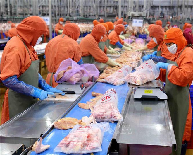 Opportunités d’augmenter les exportations de produits carnés vers la Chine ảnh 1