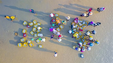 Le village de pêche de Châu Thuân Biên ảnh 1 Le village de pêche de Châu Thuân Biên ảnh 1