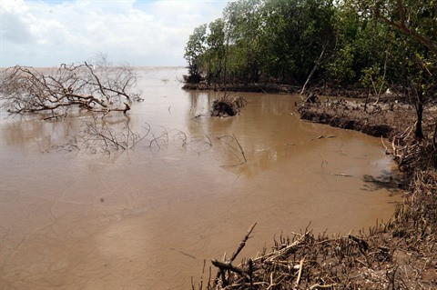 La BM aide un projet d’adaptation aux changements climatiques dans le delta du Mékong ảnh 1 La BM aide un projet d’adaptation aux changements climatiques dans le delta du Mékong ảnh 1