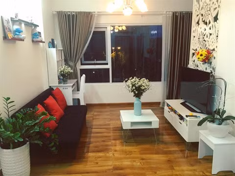 Des marguerites communes pour de beaux souvenirs ảnh 2