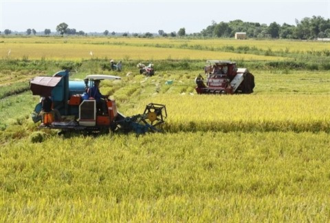 La restructuration de l’économie vietnamienne est indispensable, selon la BM ảnh 2 La restructuration de l’économie vietnamienne est indispensable, selon la BM ảnh 2