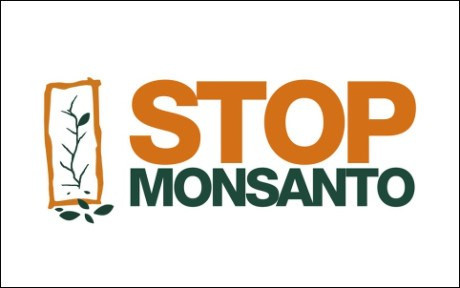 Deux eurodéputés demandent une commission d'enquête sur Monsanto ảnh 1 Deux eurodéputés demandent une commission d'enquête sur Monsanto ảnh 1