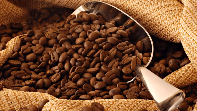 Les exportations nationales de café atteignent plus de 2 milliards de dollars ảnh 1 Les exportations nationales de café atteignent plus de 2 milliards de dollars ảnh 1