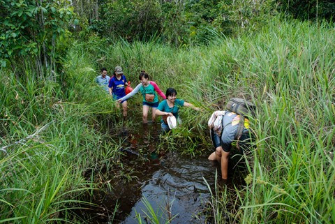 Les jeunes citadins vietnamiens trouvent randonnée à leur pied ảnh 3 Les jeunes citadins vietnamiens trouvent randonnée à leur pied ảnh 3
