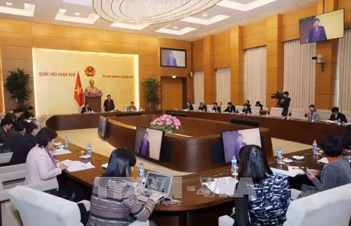 Poursuite des préparatifs pour la 26e conférence annuelle de l’APPF ảnh 1