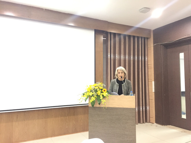 Des solutions danoises pour la ville durable présentées à Hanoi ảnh 1