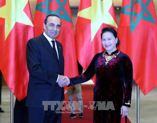 Le Vietnam et le Maroc veulent renforcer leurs liens multiformes ảnh 1 Le Vietnam et le Maroc veulent renforcer leurs liens multiformes ảnh 1