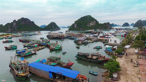 De grands projets touristiques débarquent dans la ZES de Vân Dôn ảnh 1 De grands projets touristiques débarquent dans la ZES de Vân Dôn ảnh 1