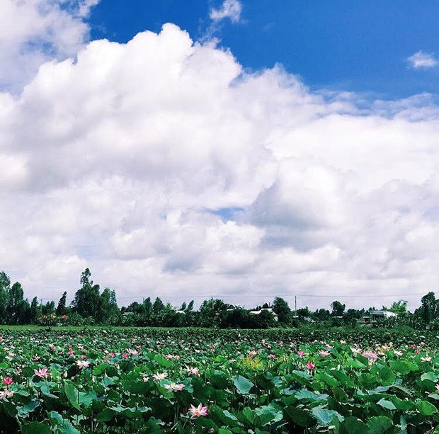 Les trois circuits qui séduisent le plus les touristes ảnh 3 Les trois circuits qui séduisent le plus les touristes ảnh 3