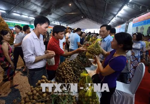 Ouverture de la Fête des longanes de Hung Yên 2018 ảnh 1