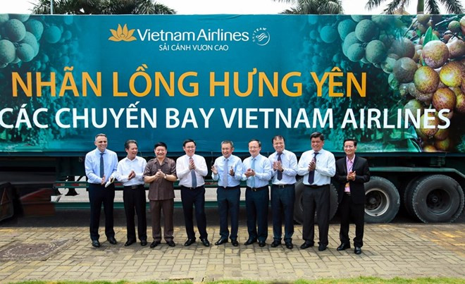 Les longanes de Hung Yen servis sur des vols de Vietnam Airlines ảnh 1 Les longanes de Hung Yen servis sur des vols de Vietnam Airlines ảnh 1