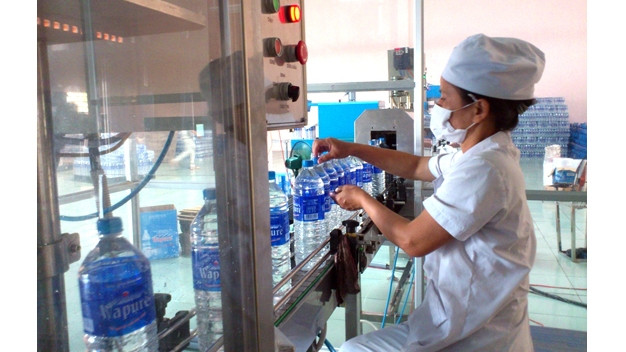 Une cérémonie pour les femmes actrices de l’économie de la région Nord-Ouest ảnh 1 Une cérémonie pour les femmes actrices de l’économie de la région Nord-Ouest ảnh 1