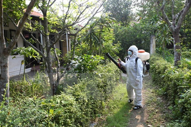 Aucun nouveau cas de virus Zika au Vietnam ảnh 1