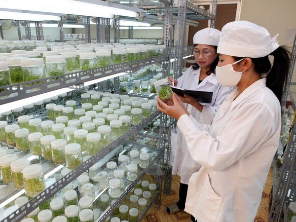 Séminaire sur la coopération Vietnam-Japon dans l’agriculture ảnh 1 Séminaire sur la coopération Vietnam-Japon dans l’agriculture ảnh 1