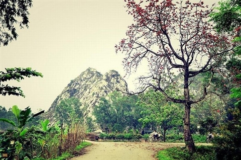 Des faubourgs de Hanoi à la couleur rouge ảnh 3 Des faubourgs de Hanoi à la couleur rouge ảnh 3