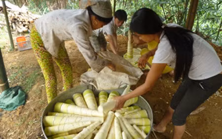 Quand "chaînes de valeur" rime avec "cercles vertueux" ảnh 1
