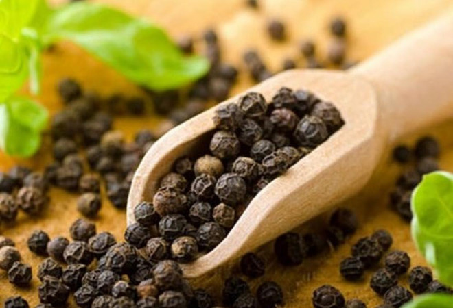 Les Etats-Unis, premier débouché pour le poivre vietnamien ảnh 1 Les Etats-Unis, premier débouché pour le poivre vietnamien ảnh 1