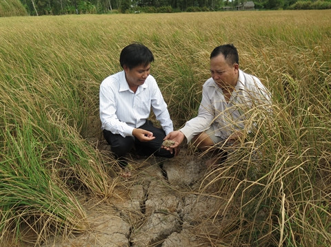 Le delta du Mékong, futur désastre ou terre d’opportunités? ảnh 2 Le delta du Mékong, futur désastre ou terre d’opportunités? ảnh 2
