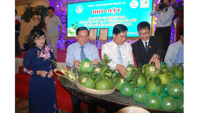 Deux produits agricoles de Bên Tre enregistrés en tant qu'indication géographique ảnh 1