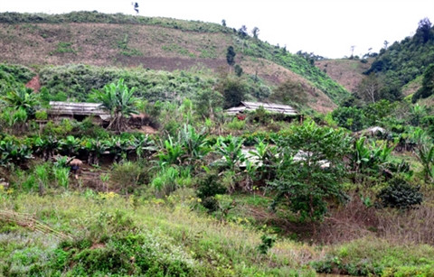 Stabiliser la vie de la population du district de Muong Nhe ảnh 1