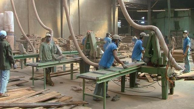 La sylviculture table sur 7,1 milliards de dollars d’exportations en 2016 ảnh 1 La sylviculture table sur 7,1 milliards de dollars d’exportations en 2016 ảnh 1
