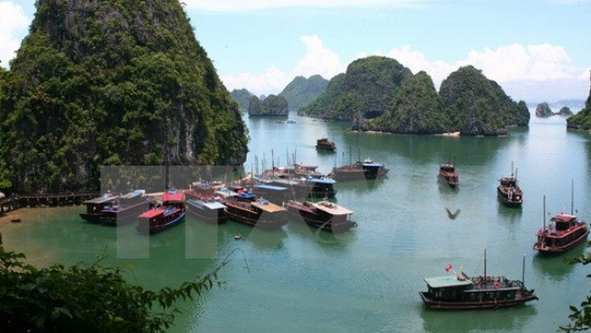 Thrillist : Le Vietnam figure parmi les destinations les plus attrayantes d’Asie du Sud-Est ảnh 1 Thrillist : Le Vietnam figure parmi les destinations les plus attrayantes d’Asie du Sud-Est ảnh 1