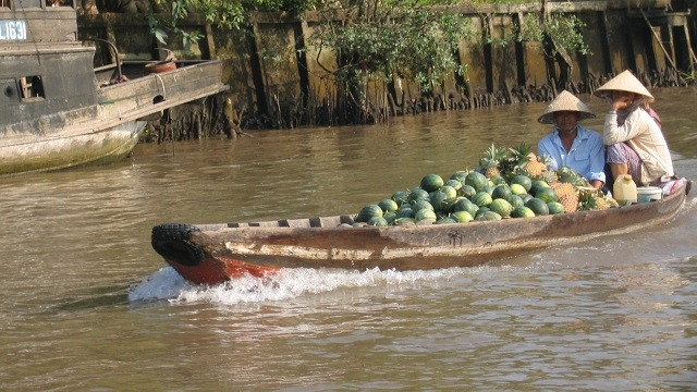 Vinh Long : le tourisme vert fait recette à l'occasion du Nouvel An ảnh 1 Vinh Long : le tourisme vert fait recette à l'occasion du Nouvel An ảnh 1