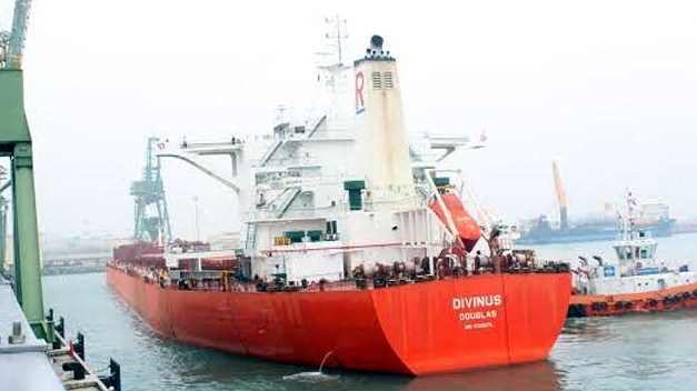 Un cargo de 170.000 tonnes dans le port de Son Duong ảnh 1 Un cargo de 170.000 tonnes dans le port de Son Duong ảnh 1