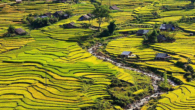 Le Figaro : les 10 sites et attractions incontournables au Vietnam ảnh 5 Le Figaro : les 10 sites et attractions incontournables au Vietnam ảnh 5